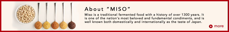 About MISO