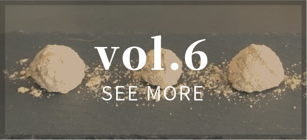 vol.6 SEE MORE