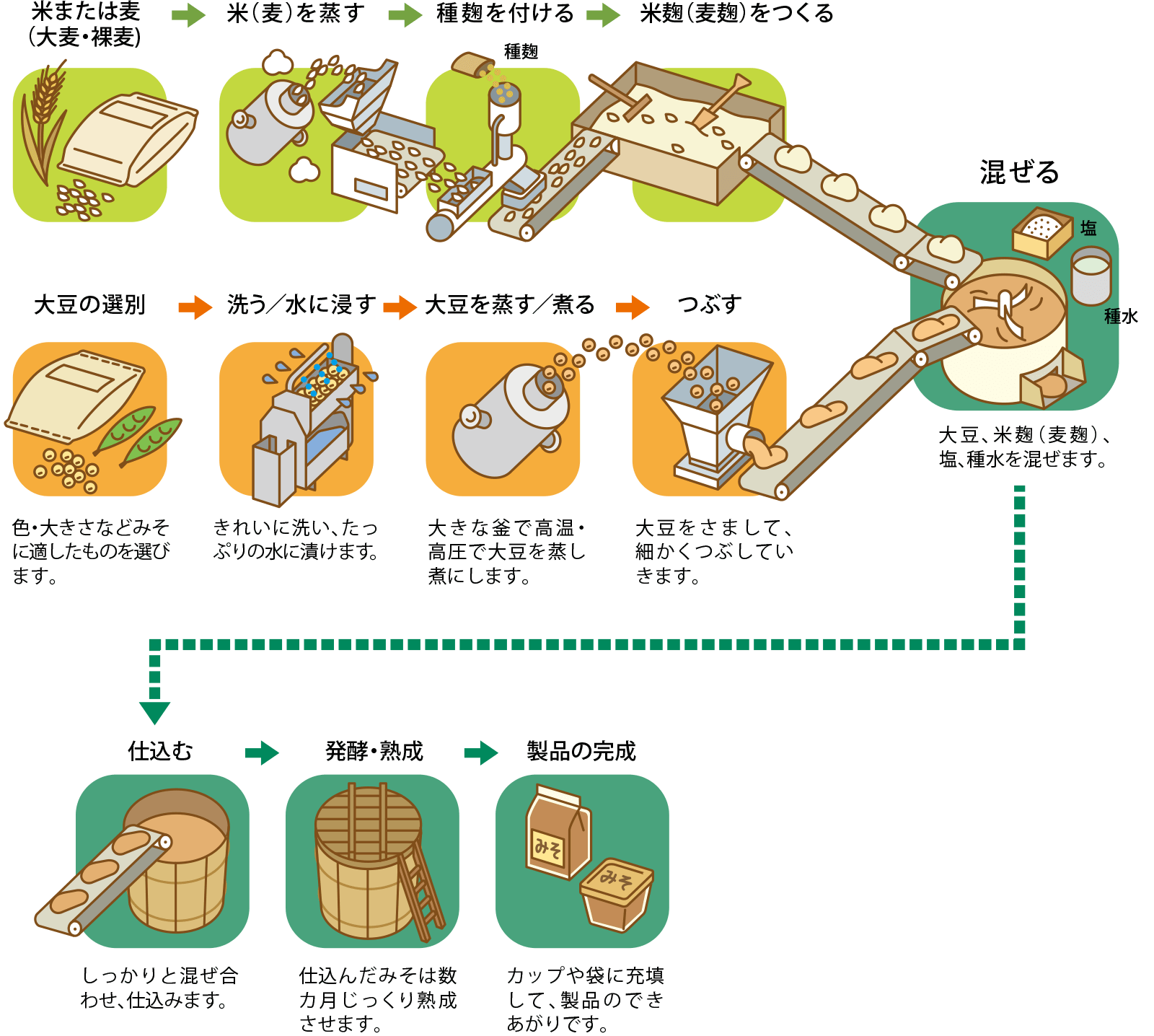 米味噌・麦味噌の製造工程