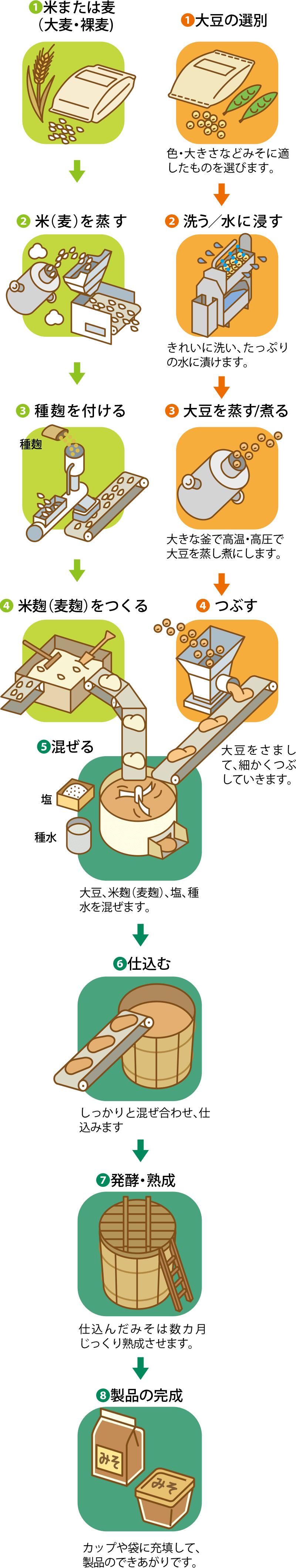 米味噌・麦味噌の製造工程