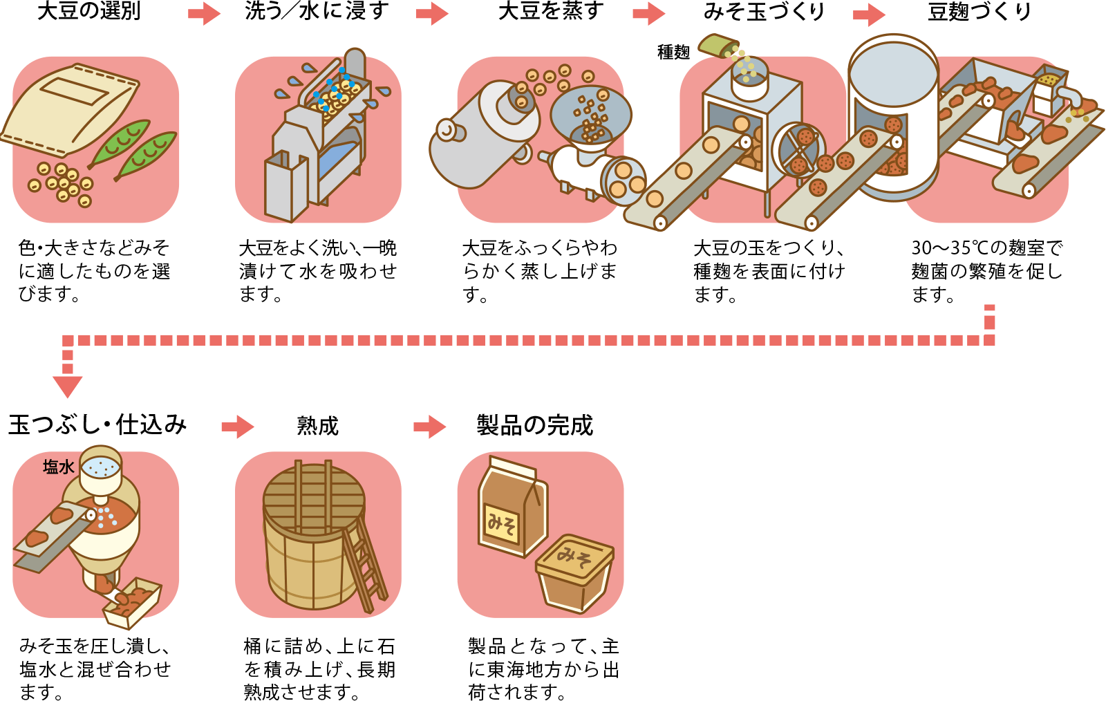 豆味噌の製造工程