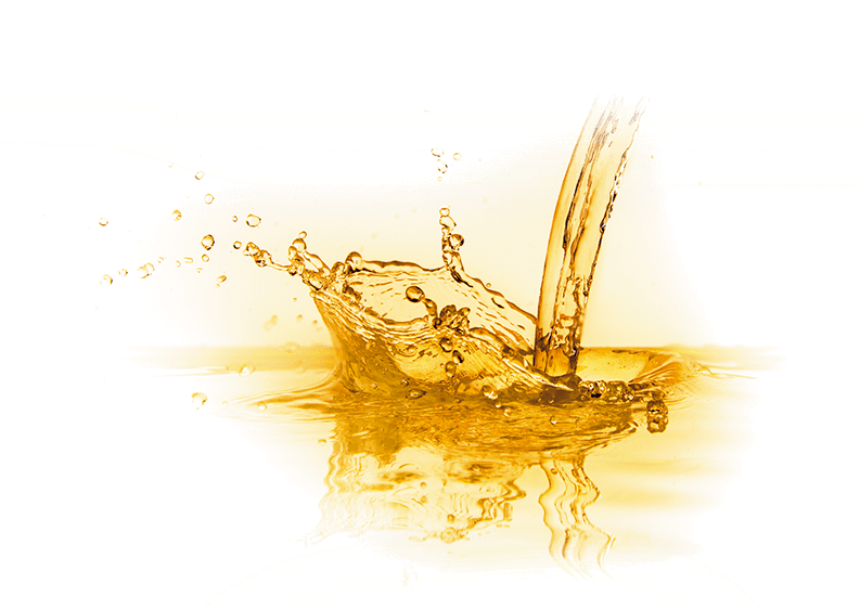 liquid shiokoji image