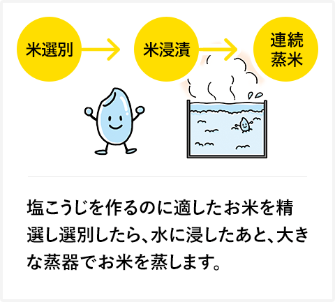 塩こうじを作るのに適したお米を精選し選別したら、水に浸したあと、大きな蒸器でお米を蒸します。