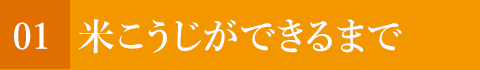米こうじができるまで