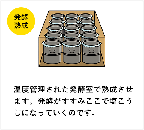 温度管理された発酵室で熟成させます。発酵がすすみここで塩こうじになっていくのです。