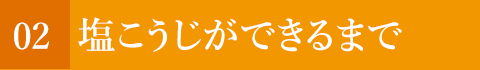 塩こうじができるまで