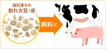 廃棄物の削減と再資源化