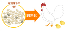 廃棄物の削減と再資源化