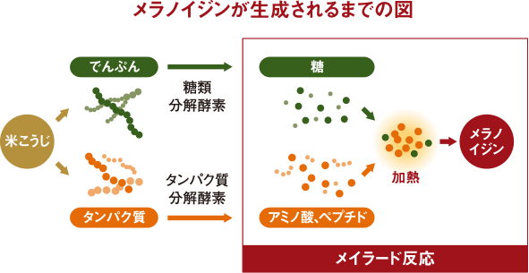 メラノイジンが生成されるまでの図