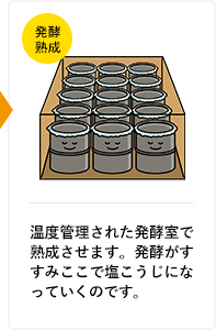 温度管理された発酵室で熟成させます。発酵がすすみここで塩こうじになっていくのです。